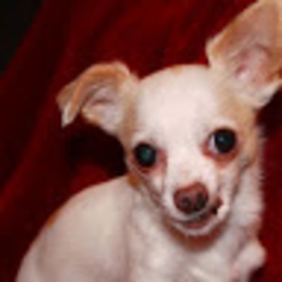 Meet your Posher, S - Picture 1 of 1